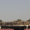 15_20-mast.jpg