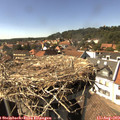 15_45-nest.jpg