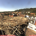 16_00-nest.jpg