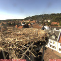 16_20-nest.jpg