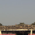 18_10-mast.jpg