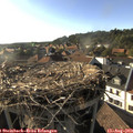 18_15-nest.jpg