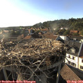 18_25-nest.jpg