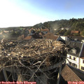 18_30-nest.jpg
