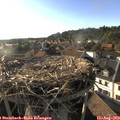 18_35-nest.jpg