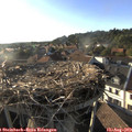 18_45-nest.jpg