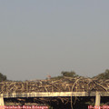 19_05-mast.jpg