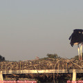19_45-mast.jpg