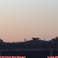 06_20-mast.jpg