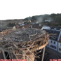 06_20-nest.jpg