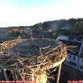 06_30-nest.jpg