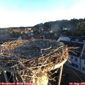 06_35-nest.jpg