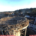 06_40-nest.jpg