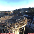 06_45-nest.jpg