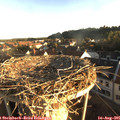 07_00-nest.jpg