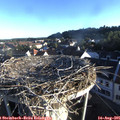 07_10-nest.jpg