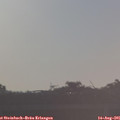 07_25-mast.jpg