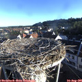 07_25-nest.jpg