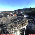 07_30-nest.jpg