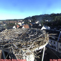07_35-nest.jpg