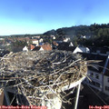 07_40-nest.jpg