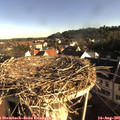 07_55-nest.jpg