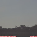 08_00-mast.jpg