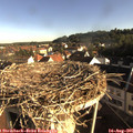08_05-nest.jpg