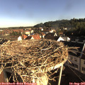 08_15-nest.jpg