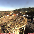 08_20-nest.jpg