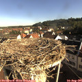 08_30-nest.jpg