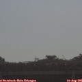 08_55-mast.jpg
