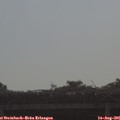 09_00-mast.jpg