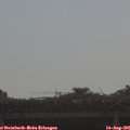 09_05-mast.jpg