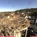 09_05-nest.jpg