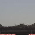 09_15-mast.jpg