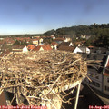 09_25-nest.jpg