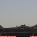 10_00-mast.jpg