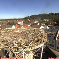 10_10-nest.jpg