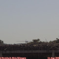 10_15-mast.jpg
