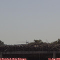 10_20-mast.jpg