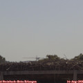 10_30-mast.jpg