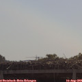 10_40-mast.jpg