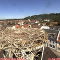 11_10-nest.jpg