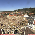 12_00-nest.jpg