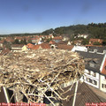 12_05-nest.jpg