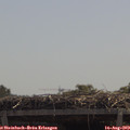 12_10-mast.jpg