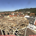 12_15-nest.jpg
