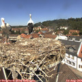 12_35-nest.jpg