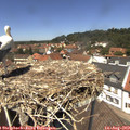 12_55-nest.jpg